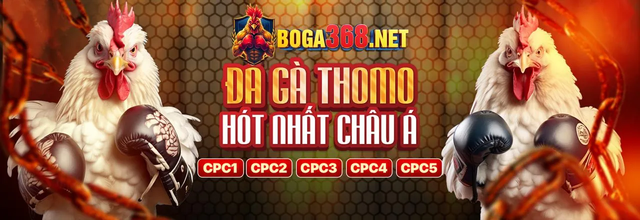 Các chương trình khuyến mãi wibet win