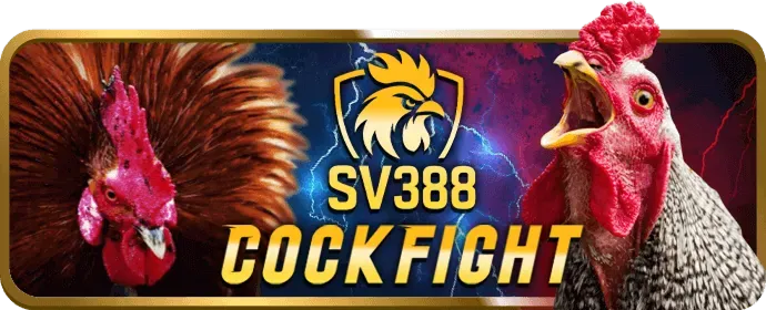 Gia tăng cơ hội chiến thắng với ưu đãi wibet win